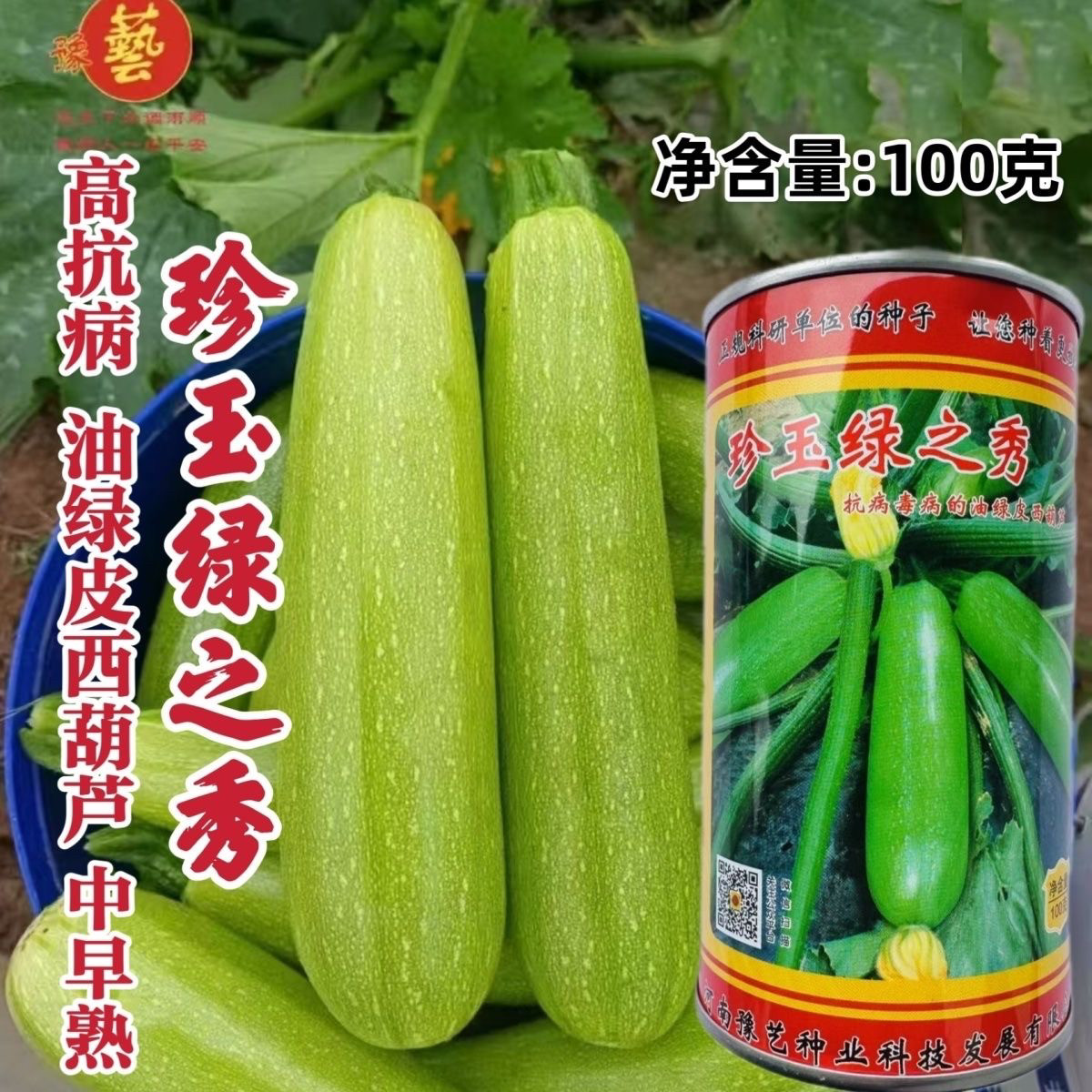 豫艺珍玉绿之秀西葫芦种子抗病毒油绿皮西葫芦瓜种子番瓜茭瓜种籽