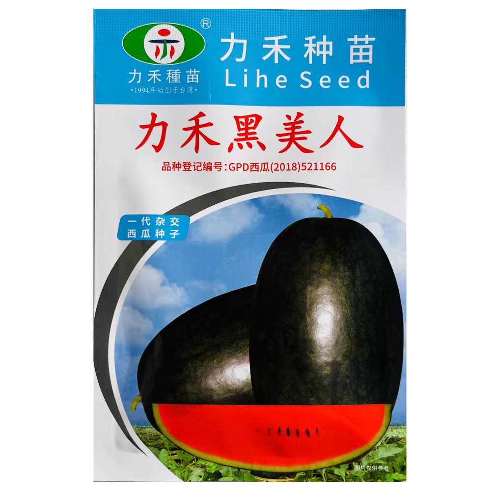 力禾黑美人西瓜种子墨绿色大红瓤大果型糖度高精品黑美人西瓜种籽