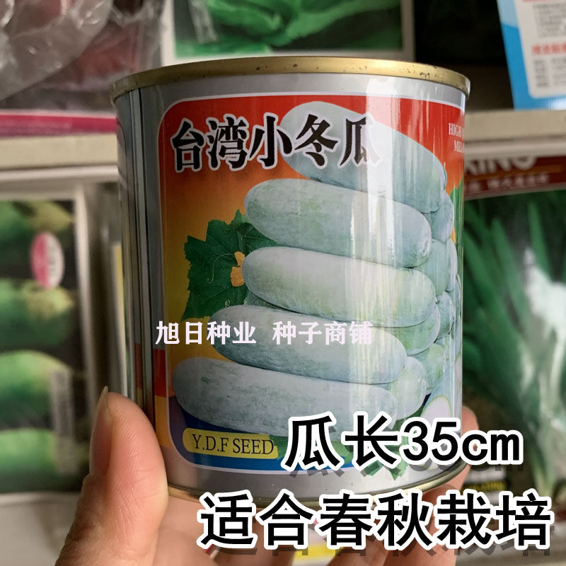 冬瓜种子台湾迷你小冬瓜种籽早熟高产短棒型抗病春秋季播蔬菜种孑