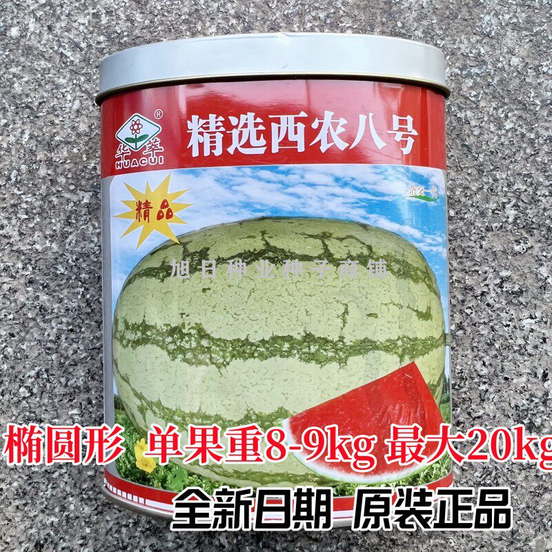 华萃西龙八号巨型大西瓜种子