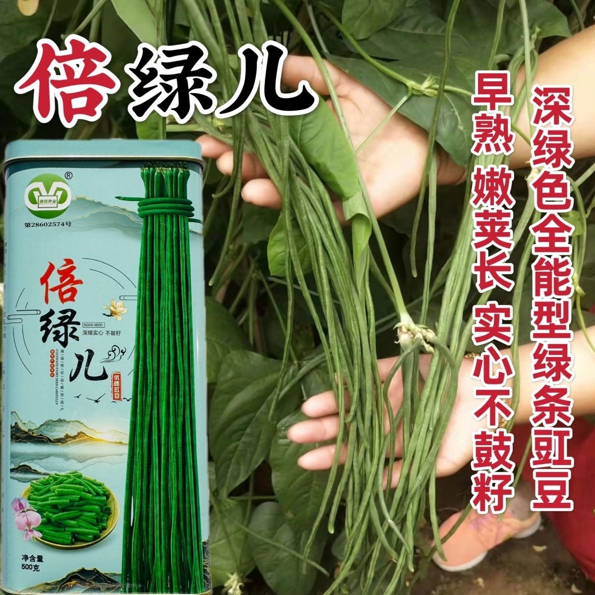 倍绿儿特长豆角种子深绿条豇豆种籽特长高产全能豆角蔬菜种子抗病