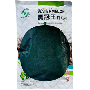 黑冠王打瓜种子大片瓜子瓜产籽西瓜南瓜种籽春夏季高产打瓜种孑
