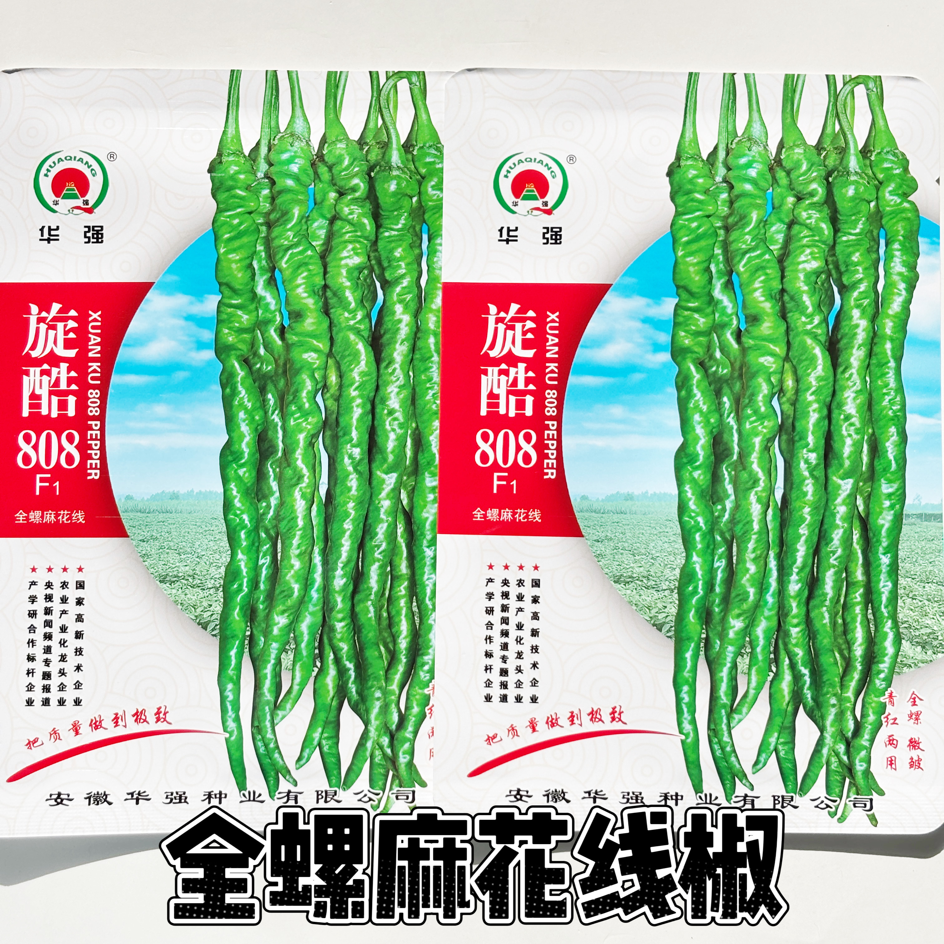 旋酷808中早熟全螺麻花线辣椒籽果色翠绿果面褶皱多皮薄质脆辣椒