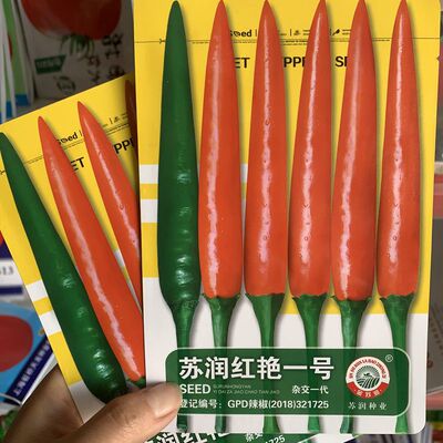 朝天椒辣椒种籽苏润红艳一号春秋特辣大果单生朝天椒新品蔬菜种孑