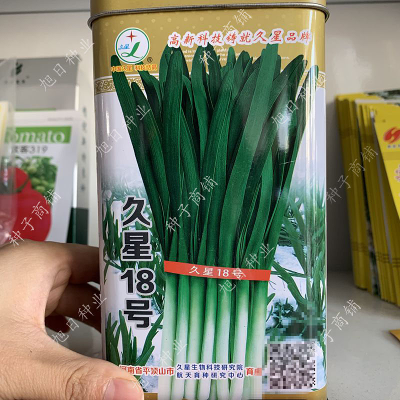 河南久星冬季不休眠高端韭菜种子