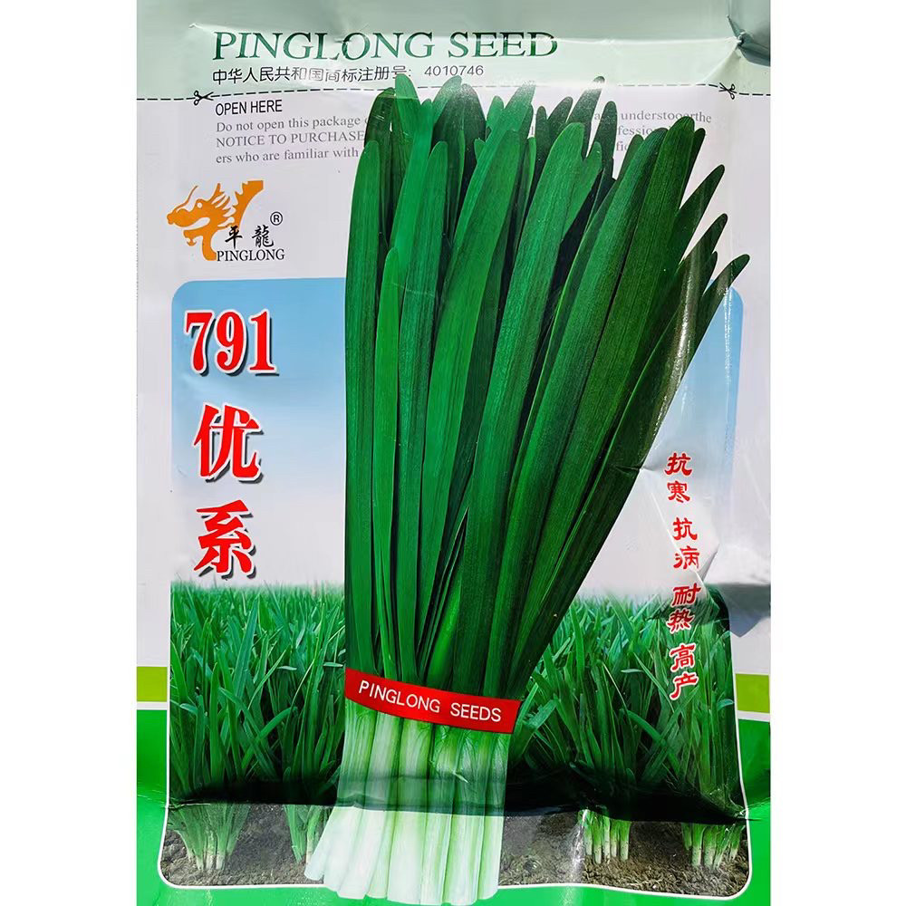 791优系韭菜种子耐寒耐热高产冬季不休眠韭菜大棚露地蔬菜种籽孑