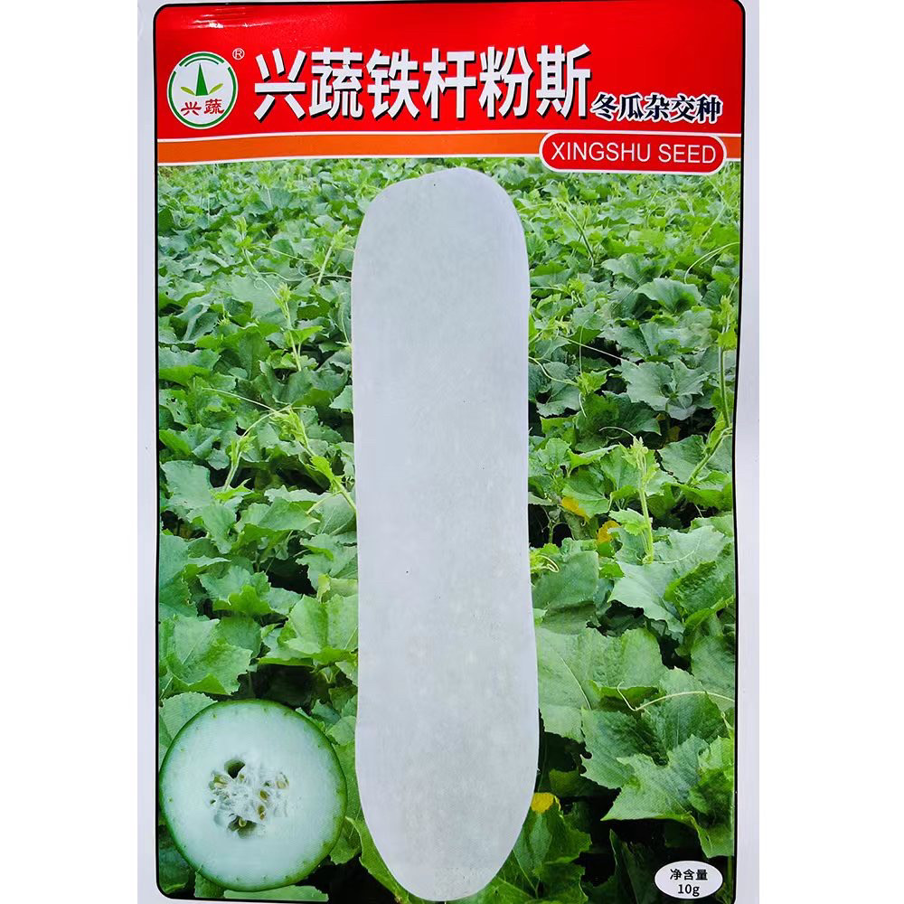 兴蔬铁杆粉斯冬瓜种子长棒形粉皮大冬瓜种东瓜春秋季蔬菜种籽孑