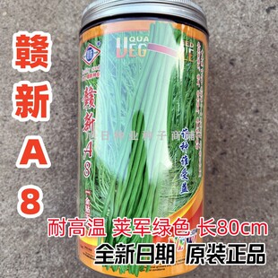 长豆角种籽赣新A8豇豆种子结荚多采收期长南方四季播夏季耐热菜种