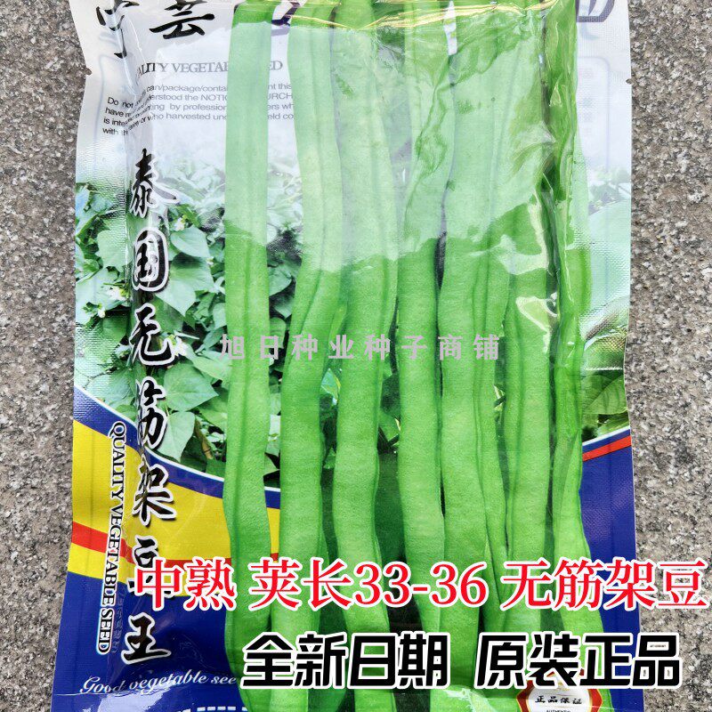 宁芸泰国四季豆无筋架豆种籽