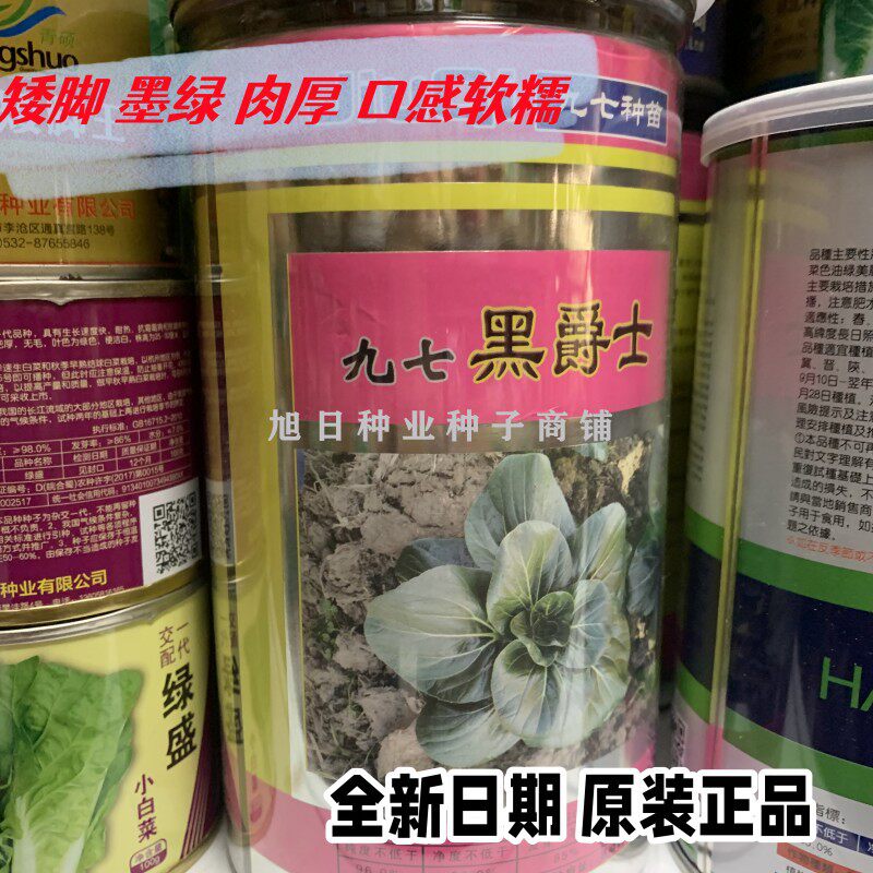 九七黑爵士杂交耐寒苏州青种子