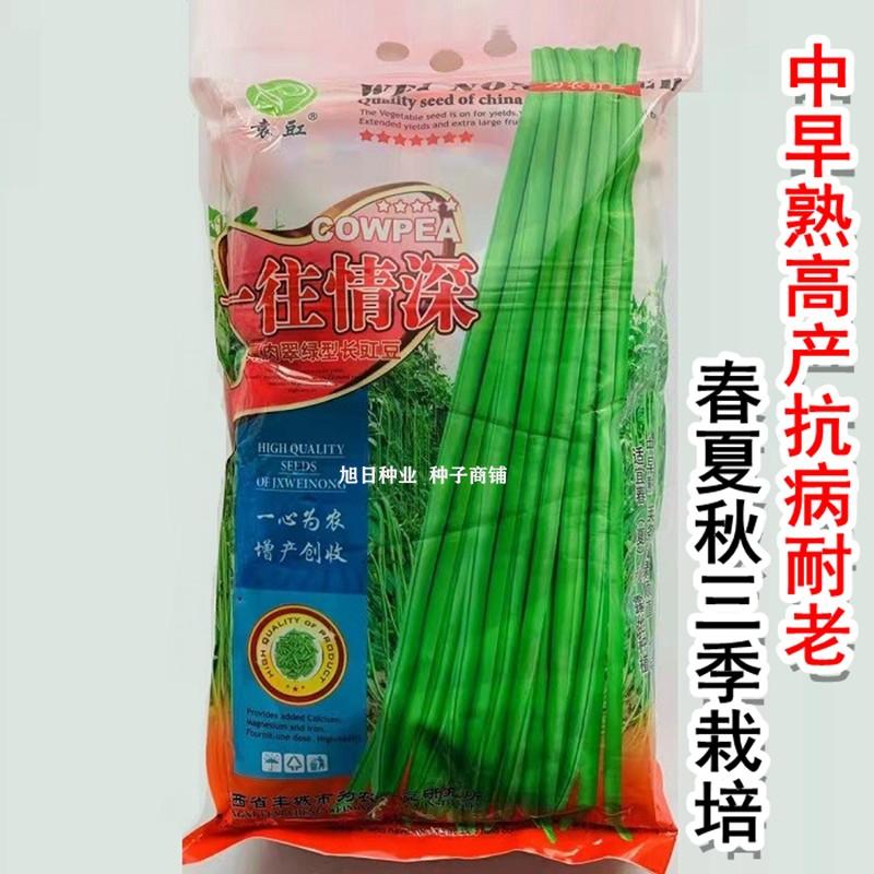 长豆角种籽江西袁豇一往情深豇豆种子翠绿色耐绿耐热春秋基地用种