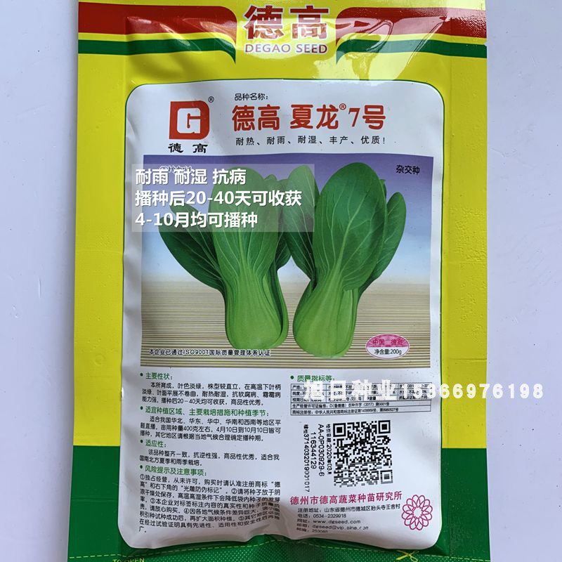 德高夏龙7号 绿翔青梗菜上海青青青种子夏季耐热耐湿四季蔬菜种孑