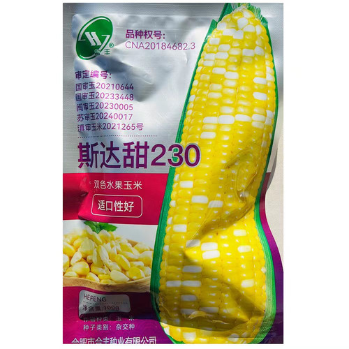 斯达甜230超甜黄白水果玉米种子大棒双色玉米种籽孑非转基因国审