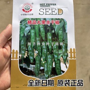 辣椒种子苏润大果余干椒种籽耐高温香辣美味土辣椒本地小辣椒种籽