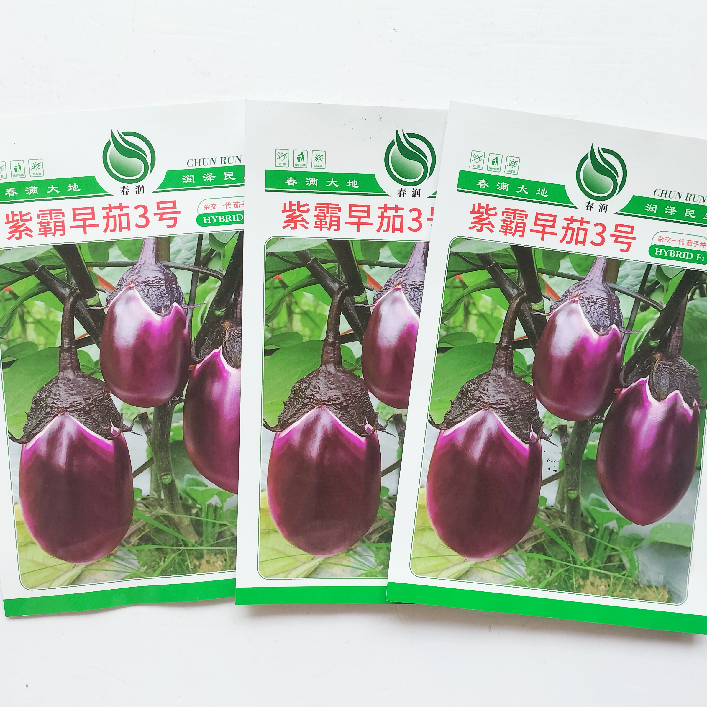 紫霸早茄3号茄子种子紫红卵圆形果肉白色耐寒耐热品质优茄种籽孑