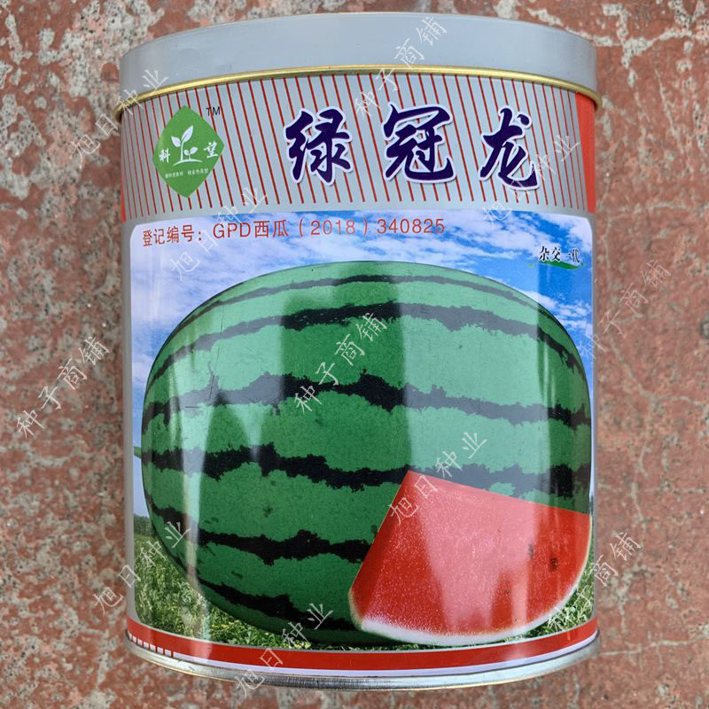 西瓜种籽高产早熟巨型瓜果种孑