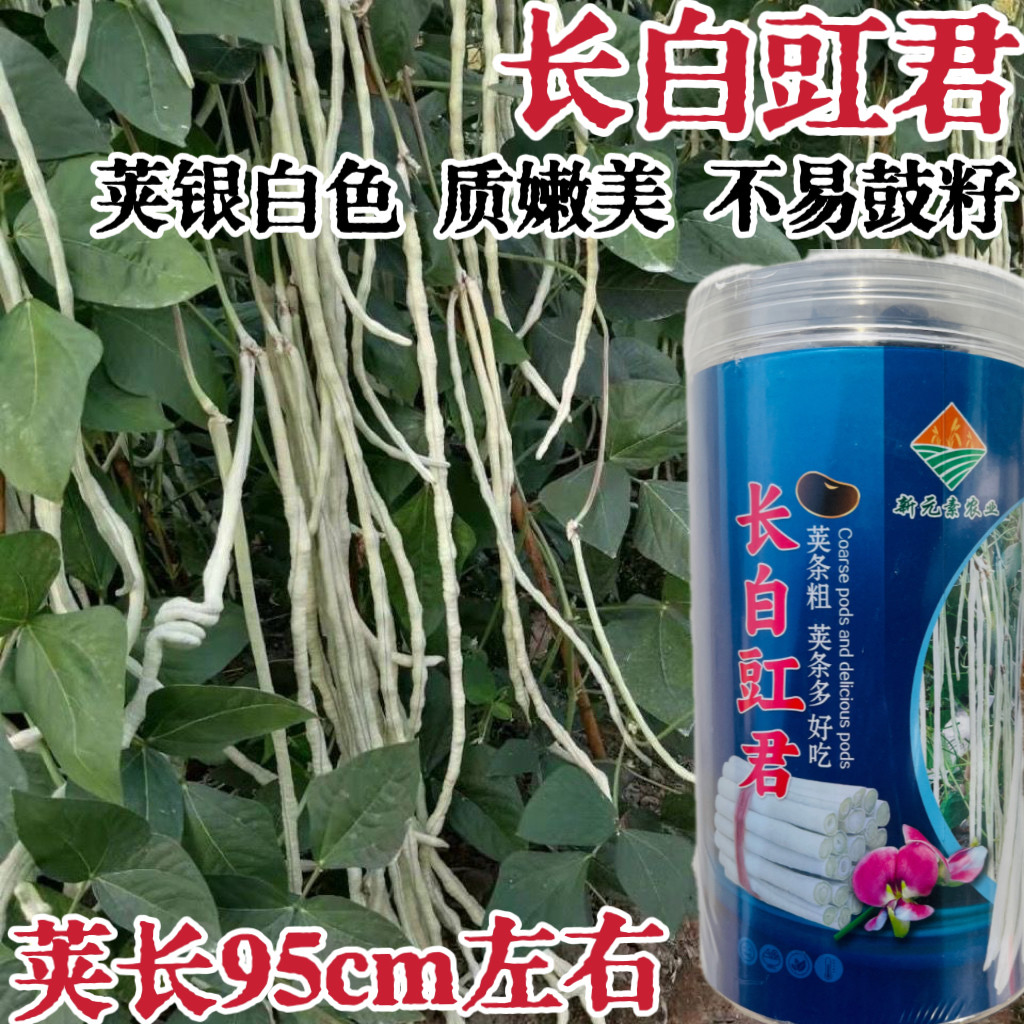 白豆角长白豇豆长豇豆种子早中熟籽少耐热长豆角种籽春秋播种高产