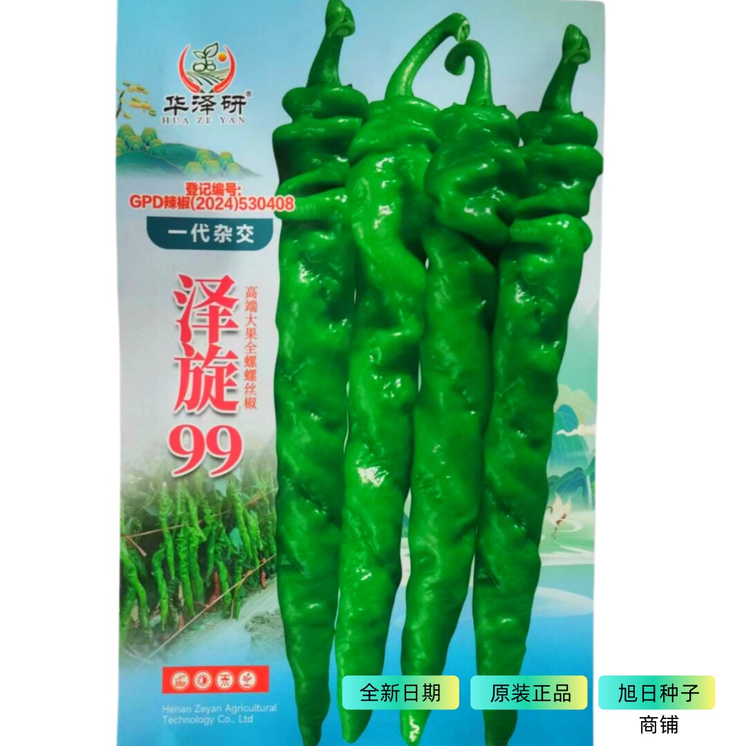 华泽研泽旋99螺丝椒种子全螺旋