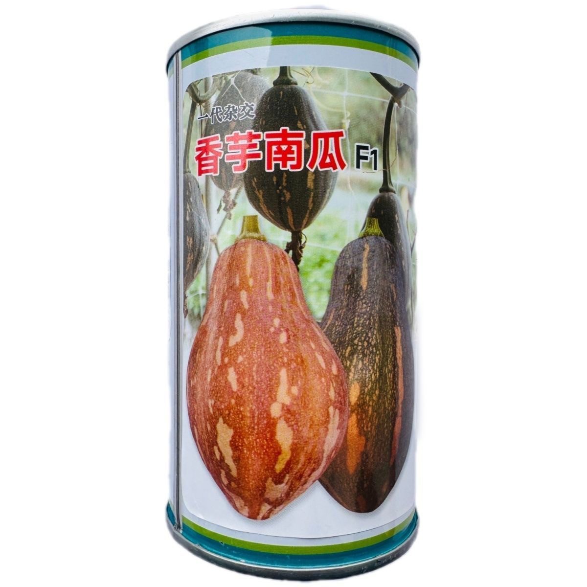 一代杂交香芋南瓜种子味甜肉厚有香芋味南瓜种籽软糯香甜基地专用