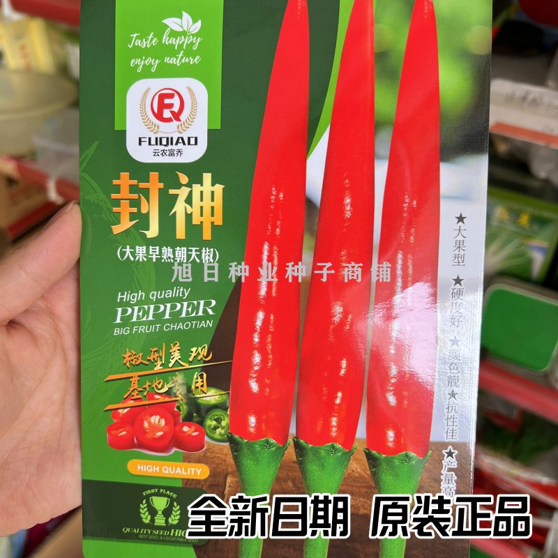 耐热耐湿南方专用大果朝天椒种子