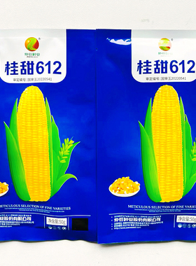 仲衍 桂甜612玉米种子国审大田鲜食玉米黄甜玉米大棒高产苞谷种籽