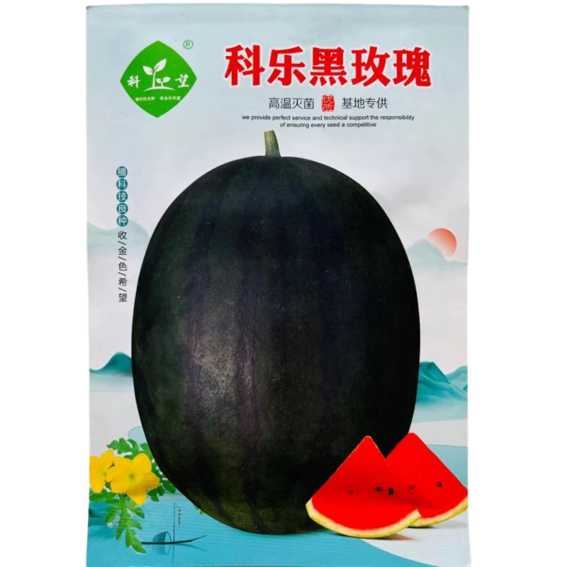科乐黑玫瑰西瓜种子黑美人西瓜水果种子大棚基地种植杂交黑皮红瓤