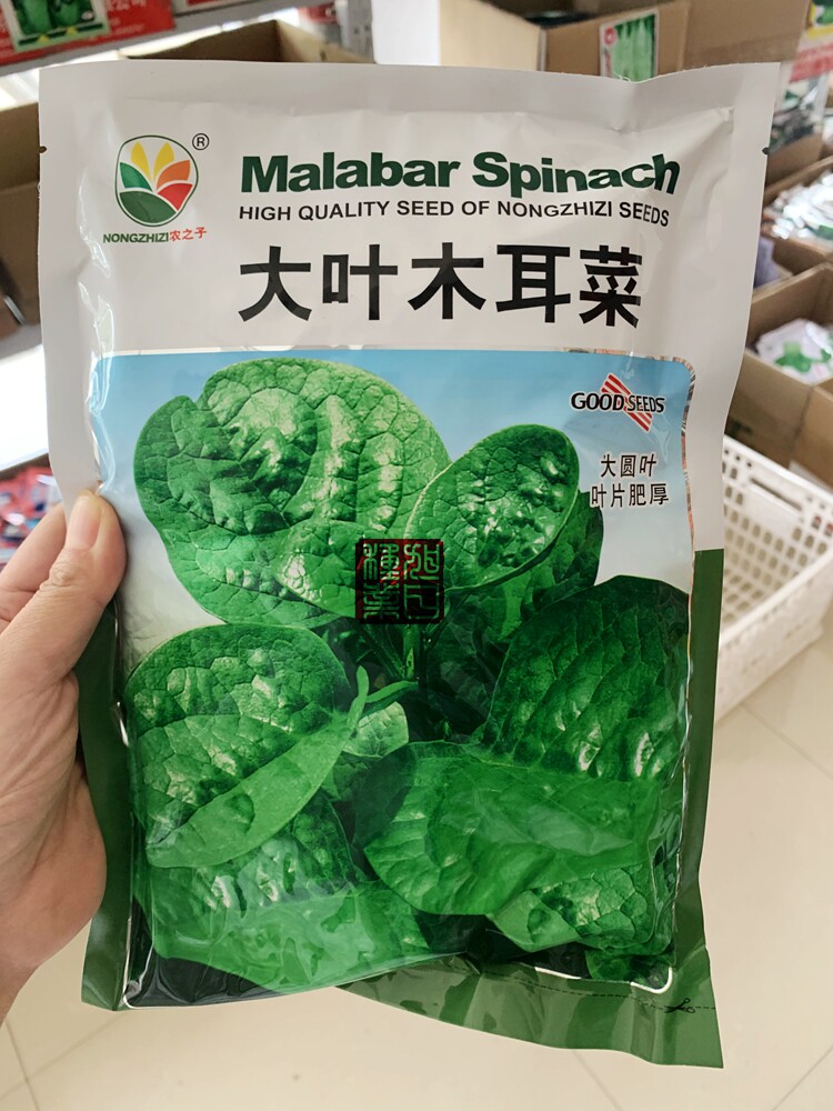 大圆叶木耳菜种籽 小青菜爬藤猫耳菜 春夏秋四季播阳台农家蔬菜孑