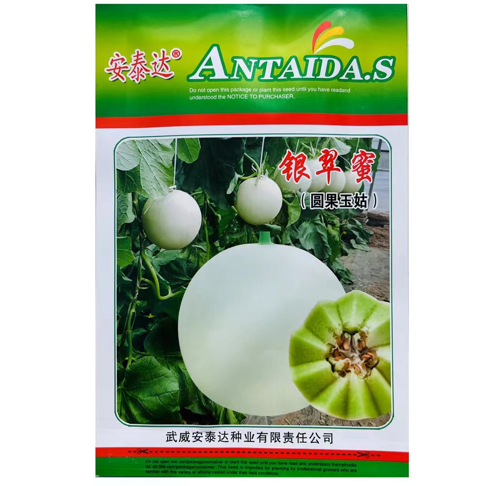 银翠蜜玉菇甜瓜种籽奶香白皮绿肉香甜酥软玉姑高甜冰淇淋水果种子