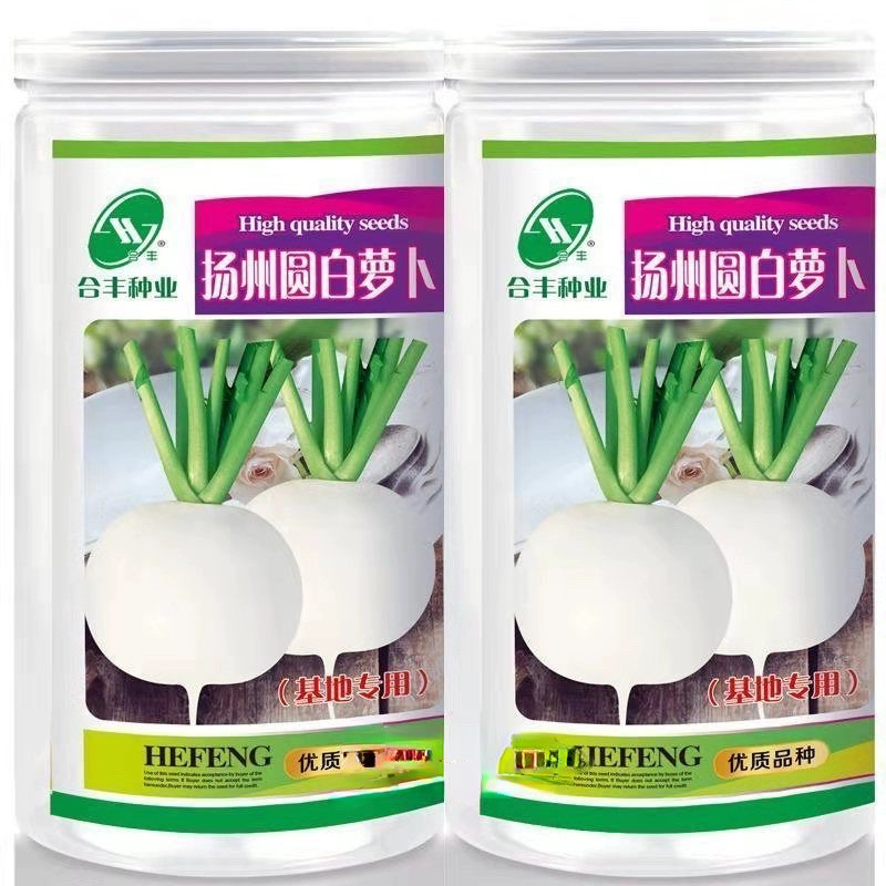 夏秋扬州圆白萝卜种籽 耐热小白萝卜种子白萝卜种孑蔬菜种籽大全