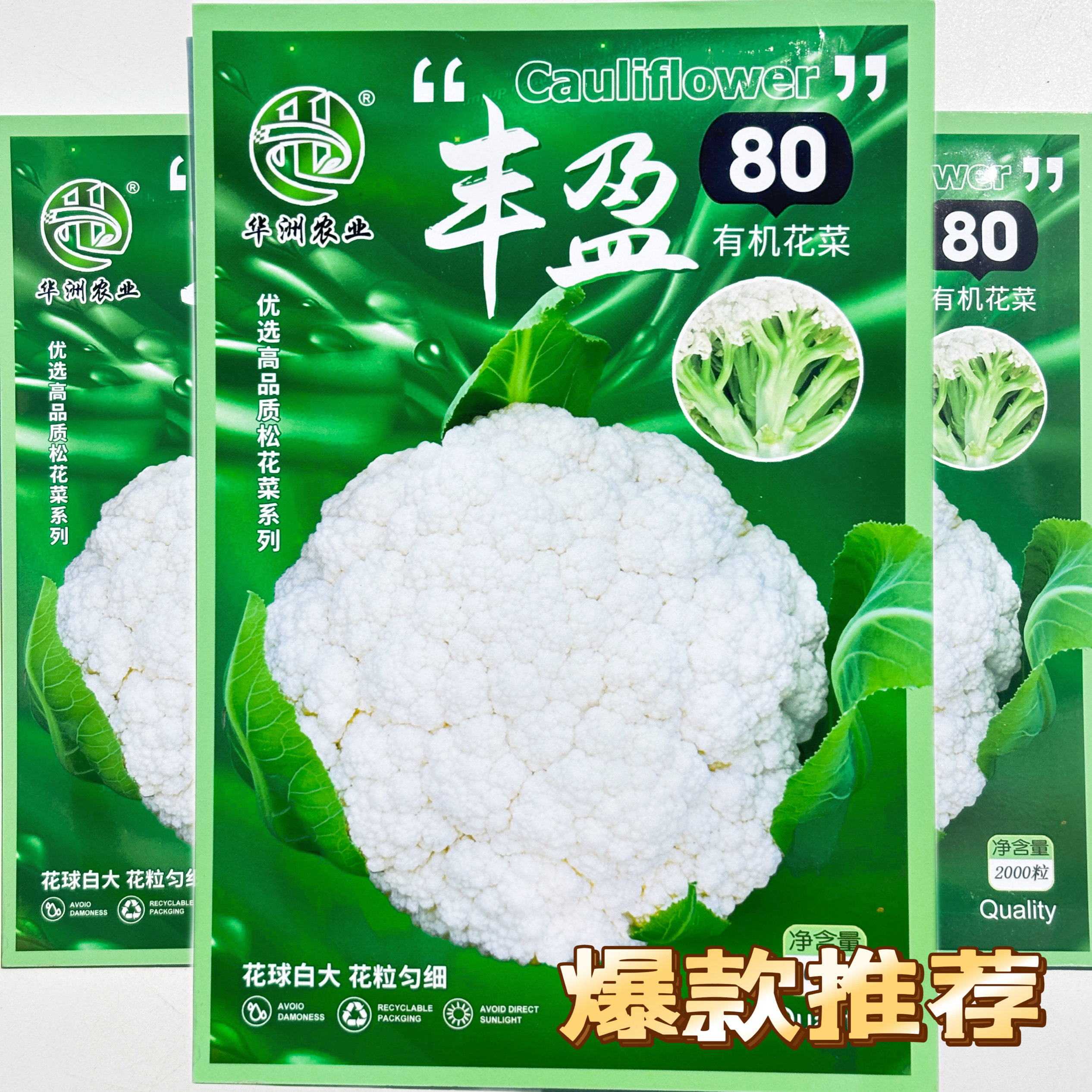 丰盈80有机花菜种子花球白大花粒均匀花菜种籽耐热耐寒耐抽苔秋播