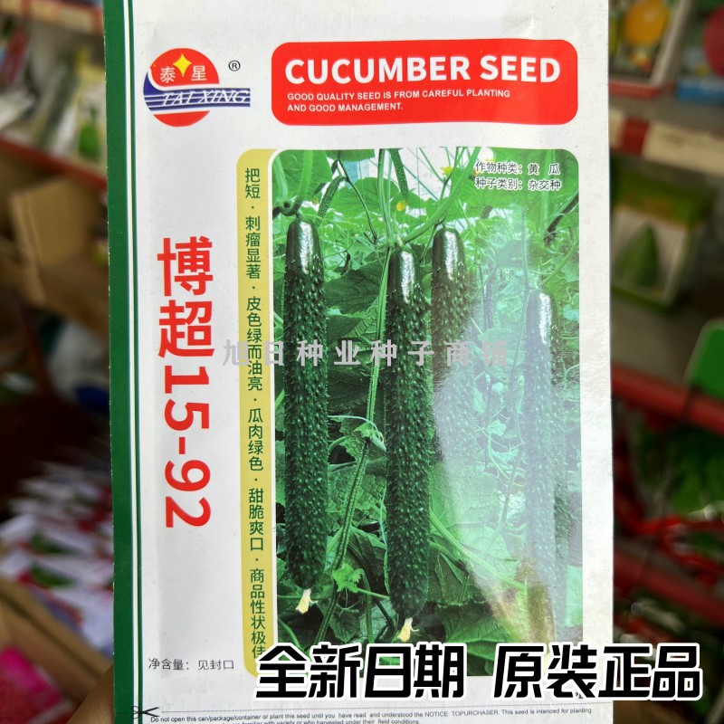 夏季耐热油亮短把密刺黄瓜种子