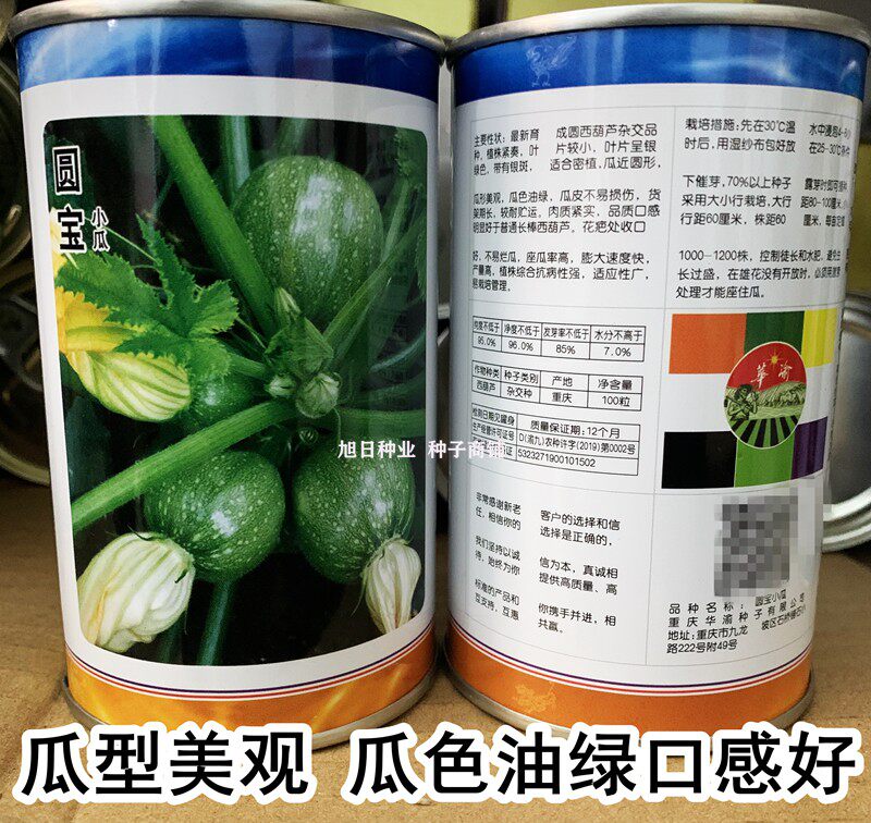 圆宝小瓜西葫芦种子 短蔓无蔓圆形西葫芦高产春季嫩南瓜菜南瓜种