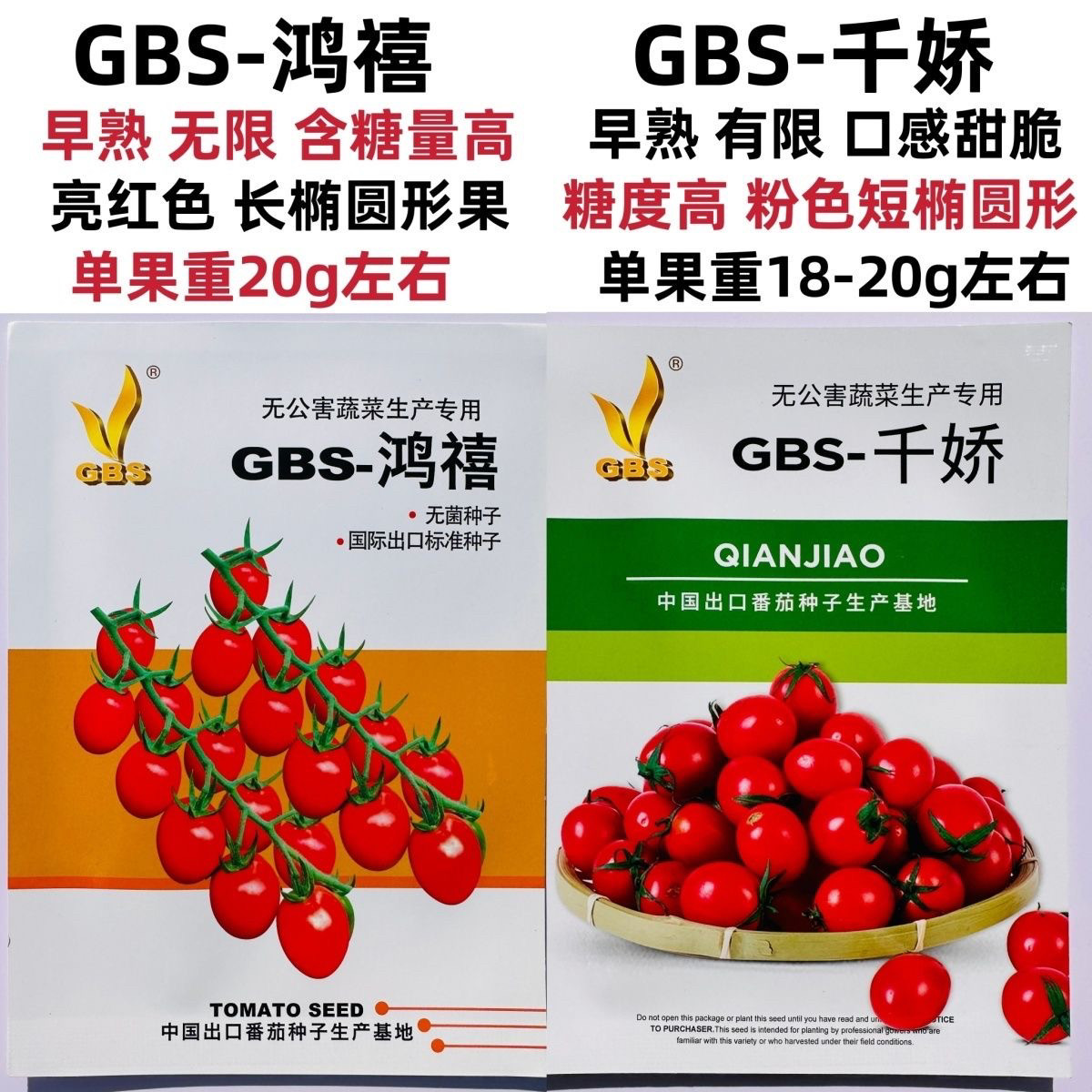 GBS鸿禧/千娇樱桃番茄千禧小番茄种子糖度高圣女果水果番茄种籽孑