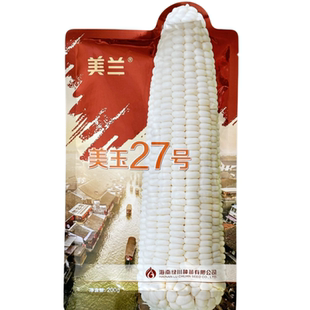 美玉27号加甜糯玉米种子矮杆大穗绿苞叶绵软蜜甜口感香甜玉米种籽