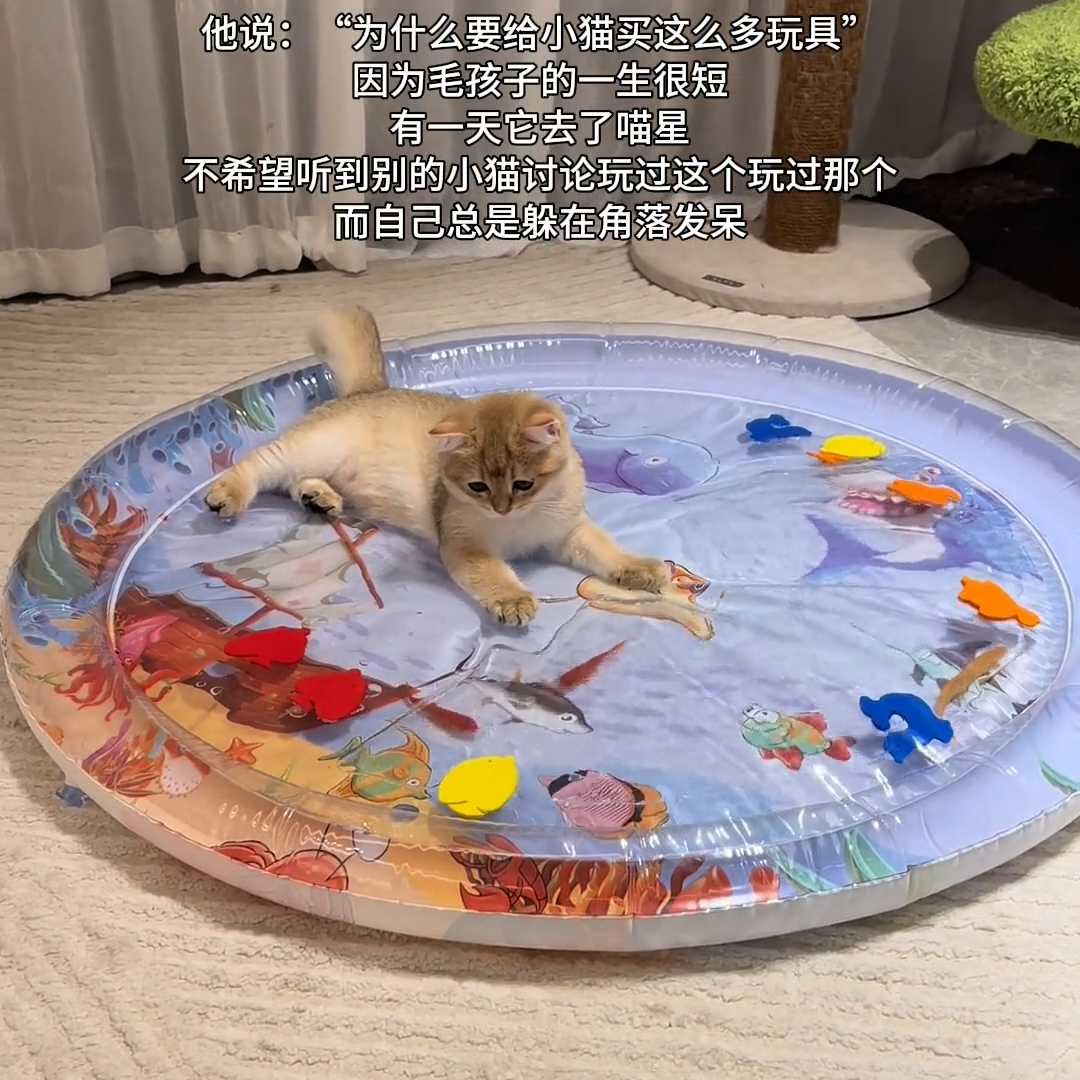 猫咪水床垫宠物夏日降温冰垫加厚防抓凉感水床睡垫可注水充气垫子