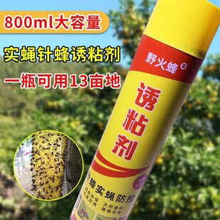 瓜果实蝇诱粘剂果蝇诱捕剂果园杀昆虫药引诱剂灭果蝇针锋诱捕神器