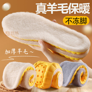 羊毛鞋垫子女冬季女款秋冬季保暖男款羊绒冬天37码毛毛38码抗寒