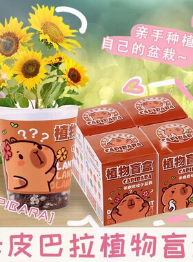晓梦创意植物盲盒小盆栽儿童幼儿园种植花卉种子桌面绿植盆栽