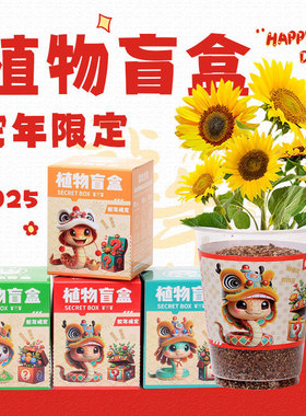 晓梦新年植物盲盒DIY桌面种植盆栽幼儿园儿童开学礼物学生礼品