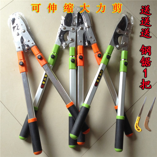 果树剪园艺剪刀修枝剪花木果树剪园林大力剪粗树枝剪高枝剪伸缩剪