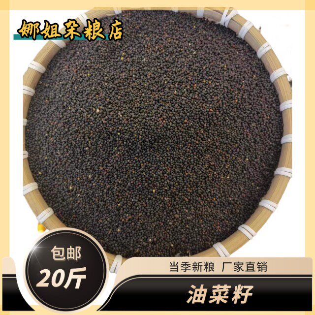20斤装新鲜油菜籽优质鸟粮食鸽子食虎皮芙蓉鸟玉鸟饲料