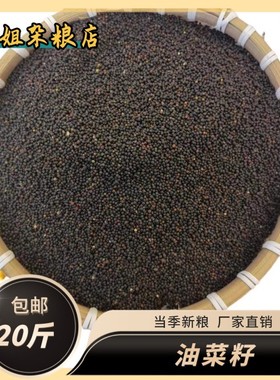 20斤装新鲜油菜籽优质鸟粮食鸽子食虎皮芙蓉鸟玉鸟饲料