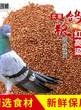 2025带皮红高粱10斤5kg去壳未脱皮红高粱酿酒高粱喂鸽子