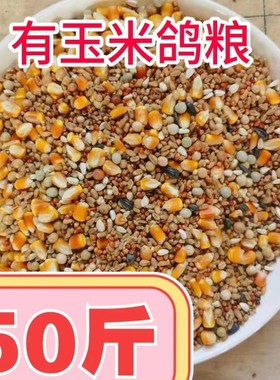 50斤2025新有玉米鸽粮赛飞营养饲料鸟食信鸽观赏鸽肉鸽粮鸽子食