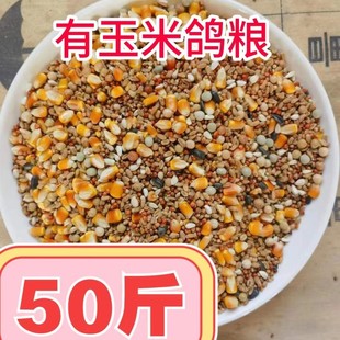 50斤2025新有玉米鸽粮赛飞营养饲料鸟食信鸽观赏鸽肉鸽粮鸽子食