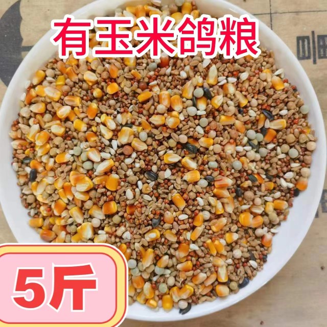 营养鸽子5斤装有玉米鸽粮