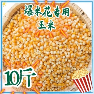 10斤新货球形爆花小玉米爆裂玉米爆米花专用小玉米苞米花原料