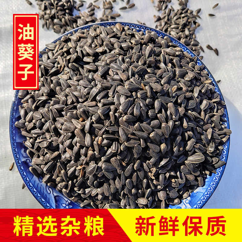 10斤装油葵籽小瓜子鸟食仓鼠零食虎皮玄凤鸟粮鸽粮包邮