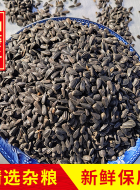 10斤装油葵籽小瓜子鸟食仓鼠零食虎皮玄凤鸟粮鸽粮包邮