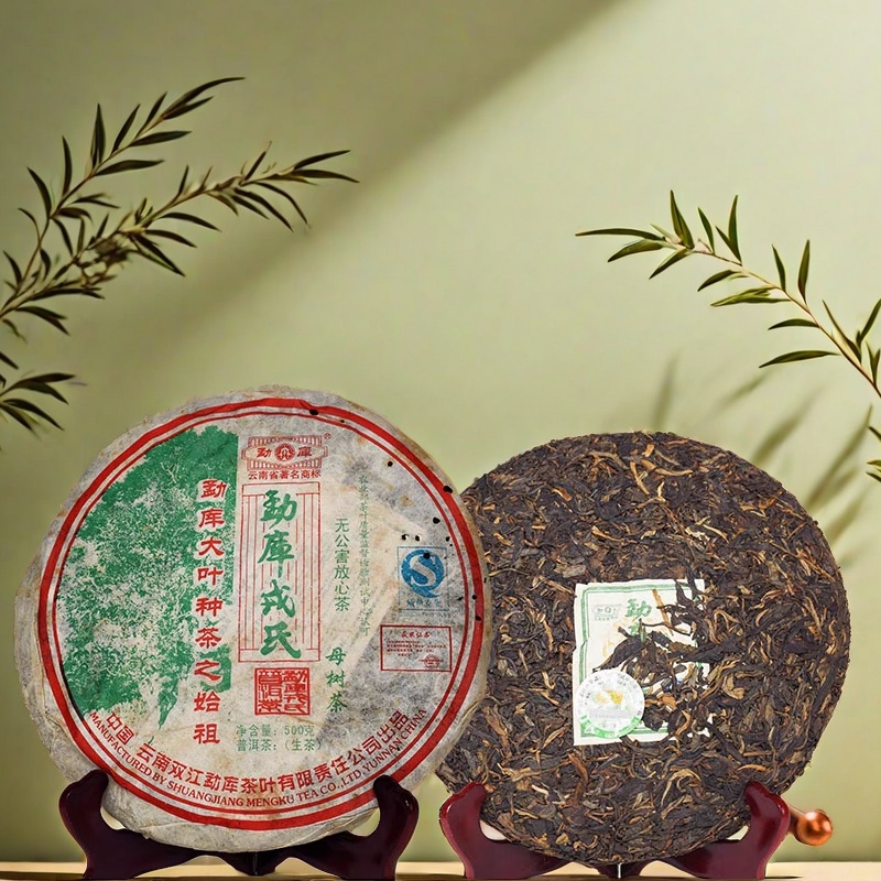 冰岛茶天花板勐库母树